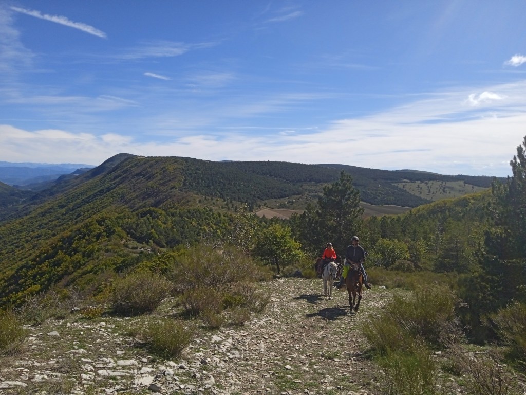 Randonnée équestre
checval
paysage
cuisine
montagne
rando
groupe
picnic
itinéraire
qualité
albion
montagne de lure
cavalier
balade
galop
sacoches
équitationj
grands espaces
liberté
expérience
revest du bion
ventoux
jabron
sentier
collines
lavandes